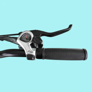 DME Vulcano 250W Folding Bike 20 250W 36V 15Ah Hydrauilica 2.8.4
