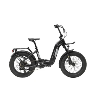 Fat E-Bike Roster 20 48V