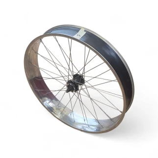 Rear Wheel 26 x 100 mm Polish 3i Coaster