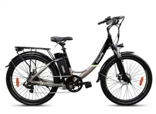 E-bike Friendly 3.2 250W 10.4AH Disco