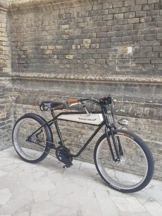 Telaio Mercurius Old Tracker