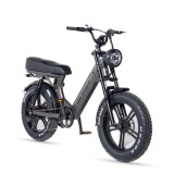 Vélo électrique Ape Ryder MD10 Premium 48V 14,5 Ah - Fat Bike Pieghevoli - Ape Ryder