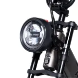 Bicicleta eléctrica Ape Ryder MD10 Premium 48V 14,5 Ah - Cruiser & Custom - Ape Ryder