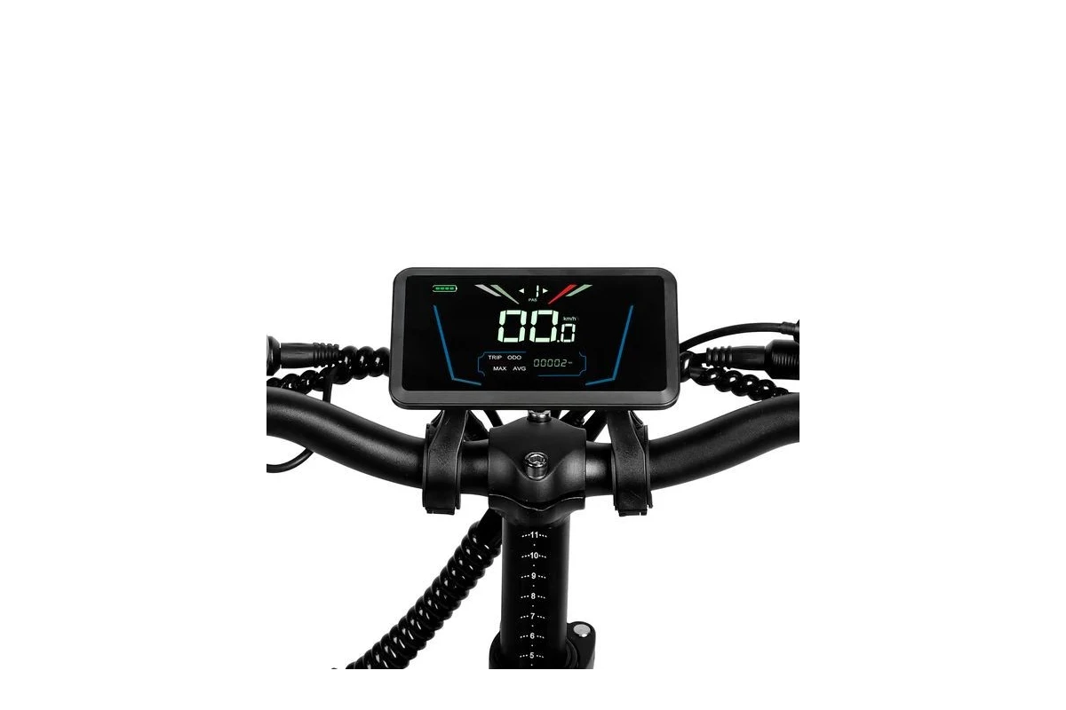 Bicicletta E-bike Fat bike Ebike Fat Victrip R5s Eu 250W 48V cargo farhad - Foto 6 di 21