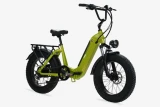 E-bike Fat Focarini Panda 48V Verde