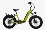 Bicicleta eléctrica Fat Focarini Panda 48V Verde - Fat E-bike & Cargo E-bikes - Focarini