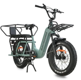 Bicicleta eléctrica de carga - Fat E-bike & Cargo E-bikes - Electri