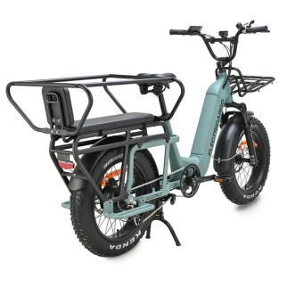 Bicicleta eléctrica de carga - Fat E-bike & Cargo E-bikes - Electri