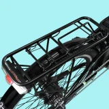 E-bike Friendly 3.2 250W 10.4AH Disco