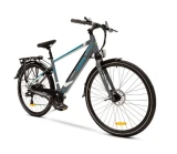 SILVER ALPHA E-Bike - Urban & Trekking - Argento