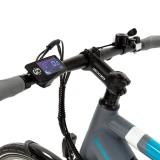 SILVER ALPHA E-Bike - Urban & Trekking - Argento