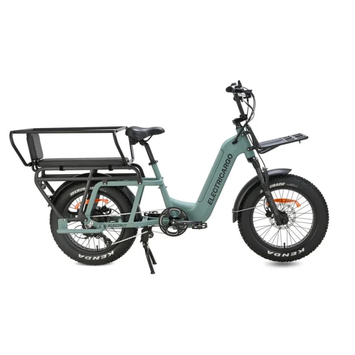 Electri Cargo E-bike