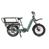 Electri Cargo E-bike