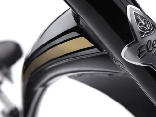 Electra E-bike Ghost Rider Go 5i