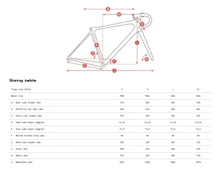 WELT Gravel G80 Verde Claris - Gravel, Cross & Trekking - Welt