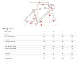 WELT Gravel G100 Naranja GRX 2x - Gravel, Cross & Trekking - Welt