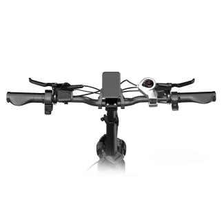 Bicicleta eléctrica Fat Ovivo C2 Pro 48 V 18 Ah - Fat E-Bikes - Ovivo