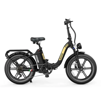 Bicicleta eléctrica Fat Ovivo C2 Pro 48 V 18 Ah - Fat E-Bikes - Ovivo