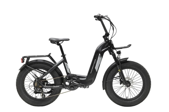 Fat E-Bike Roster 20 48V