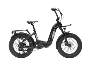 Fat E-Bike Roster 20 48V